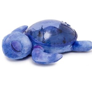 Tranquil Turtle (océan)